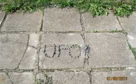 f79h5rt9bu_____72wtkkwfyx-img-1676_1170_700_SHRINK_ONLY__85_jpg_