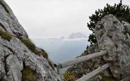 how7brt9qp_____lbt3pkagvj-dsc-0041_1170_700_SHRINK_ONLY__85_jpg_