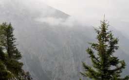 how7brt9qp_____lbt3pkagvj-dsc-0041_1170_700_SHRINK_ONLY__85_jpg_