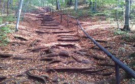 du2websywd_____4mphz0hdl8-2016-09-19-11-29-27_1170_700_SHRINK_ONLY__85_jpg_