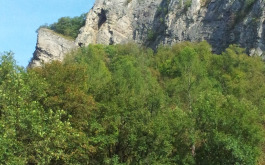 du2websywd_____4mphz0hdl8-2016-09-19-11-29-27_1170_700_SHRINK_ONLY__85_jpg_