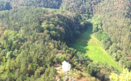 du2websywd_____4mphz0hdl8-2016-09-19-11-29-27_1170_700_SHRINK_ONLY__85_jpg_