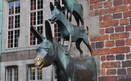 1oib25ytg1_____z1sz9mwulq-dsc-0465_1170_700_SHRINK_ONLY__85_jpg_