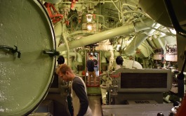 1oib25ytg1_____z1sz9mwulq-dsc-0465_1170_700_SHRINK_ONLY__85_jpg_