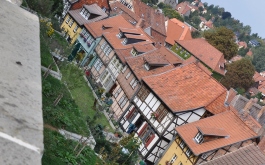 1oib25ytg1_____z1sz9mwulq-dsc-0465_1170_700_SHRINK_ONLY__85_jpg_