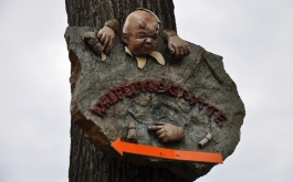 1oib25ytg1_____z1sz9mwulq-dsc-0465_1170_700_SHRINK_ONLY__85_jpg_