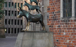 1oib25ytg1_____z1sz9mwulq-dsc-0465_1170_700_SHRINK_ONLY__85_jpg_