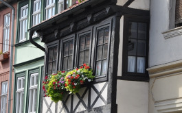 1oib25ytg1_____z1sz9mwulq-dsc-0465_1170_700_SHRINK_ONLY__85_jpg_