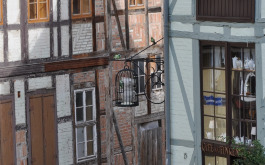 1oib25ytg1_____z1sz9mwulq-dsc-0465_1170_700_SHRINK_ONLY__85_jpg_