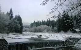 qo6gjseqf9_____jzkfeid7l6-wp-20140205-011_1170_700_SHRINK_ONLY__85_jpg_