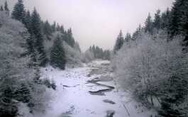 qo6gjseqf9_____jzkfeid7l6-wp-20140205-011_1170_700_SHRINK_ONLY__85_jpg_