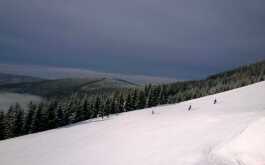 qo6gjseqf9_____jzkfeid7l6-wp-20140205-011_1170_700_SHRINK_ONLY__85_jpg_