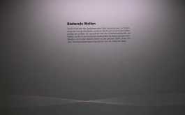 av3h5onkfi_____qj8sjg5u9x-mnichov-2014-035_1170_700_SHRINK_ONLY__85_jpg_