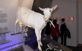 av3h5onkfi_____qj8sjg5u9x-mnichov-2014-035_1170_700_SHRINK_ONLY__85_jpg_