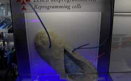 av3h5onkfi_____qj8sjg5u9x-mnichov-2014-035_1170_700_SHRINK_ONLY__85_jpg_