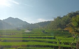 wdeggongu0_____WhatsApp Image 2023-08-10 at 20.21.18 (1)