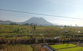 wdeggongu0_____WhatsApp Image 2023-08-10 at 20.21.18 (1)