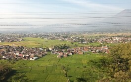 wdeggongu0_____WhatsApp Image 2023-08-10 at 20.21.18 (1)