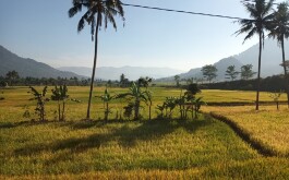 wdeggongu0_____WhatsApp Image 2023-08-10 at 20.21.18 (1)