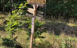 pvj2elm1ra_____IMG_20230907_103512