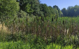 pvj2elm1ra_____IMG_20230907_103512