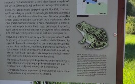 pvj2elm1ra_____IMG_20230907_103512