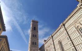s8i7zp1k5k_____IMG_20231017_092846