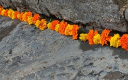 s8i7zp1k5k_____IMG_20231017_092846