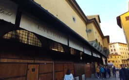 s8i7zp1k5k_____IMG_20231017_092846 s8i7zp1k5k_____IMG_20231017_092846