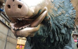 s8i7zp1k5k_____IMG_20231017_092846