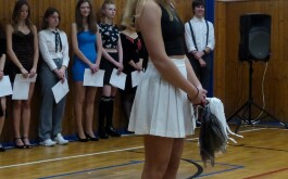 4060dw12xs_____P1540537