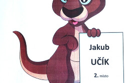 8x8zd8pk6n_____IMG_20240322_083895