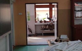 be5vz63r67_____IMG-20240422-WA0002