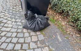 be5vz63r67_____IMG-20240422-WA0002