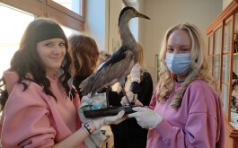 be5vz63r67_____IMG-20240422-WA0002