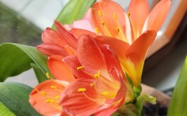 be5vz63r67_____IMG-20240422-WA0002