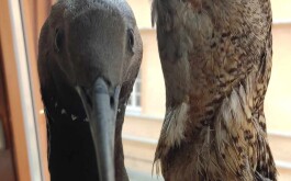 be5vz63r67_____IMG-20240422-WA0002