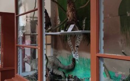 be5vz63r67_____IMG-20240422-WA0002