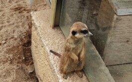 k2sdnsnifu_____IMG_20240606_145553