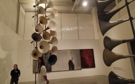 782r90o184_____IMG_20240617_121436