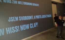 782r90o184_____IMG_20240617_121436