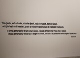 IMG_20240617_114711.jpg