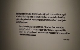 782r90o184_____IMG_20240617_121436