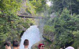 x4zgwdnaos_____Image (40)