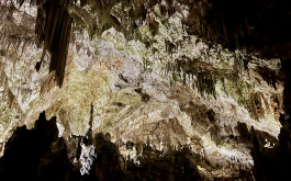 00x72u1rk8_____20240619_084028476_iOS