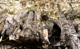 00x72u1rk8_____20240619_084028476_iOS