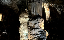 00x72u1rk8_____20240619_084028476_iOS