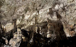 00x72u1rk8_____20240619_084028476_iOS