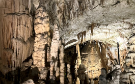 00x72u1rk8_____20240619_084028476_iOS