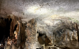 00x72u1rk8_____20240619_084028476_iOS